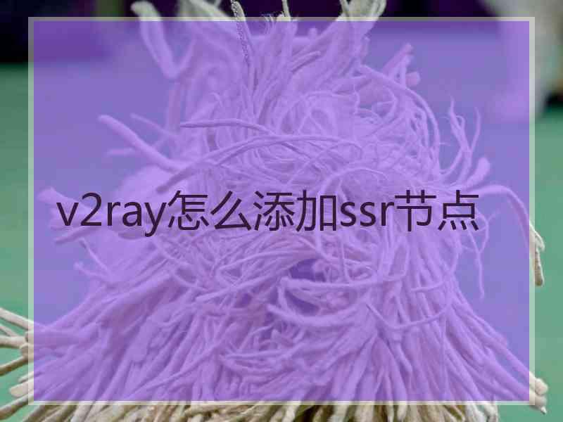 v2ray怎么添加ssr节点