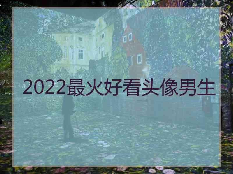 2022最火好看头像男生