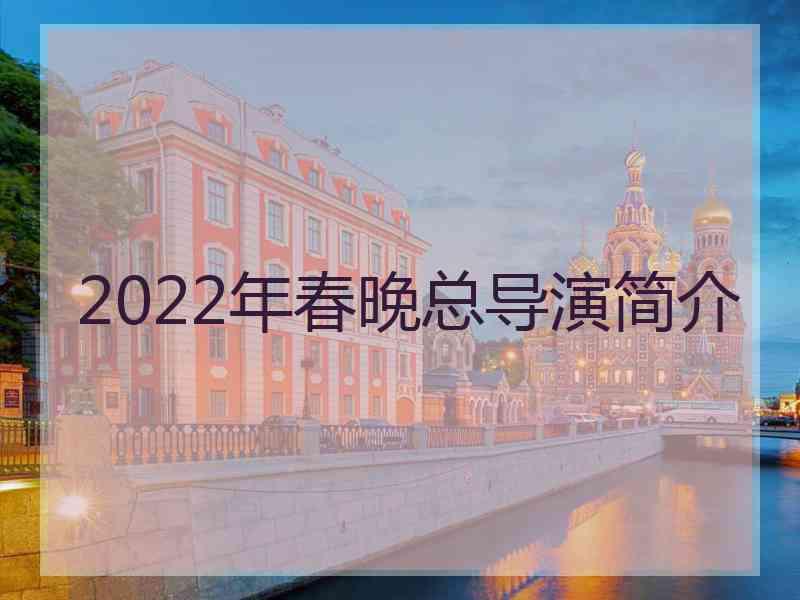 2022年春晚总导演简介