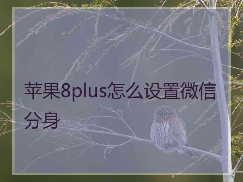 苹果8plus怎么设置微信分身