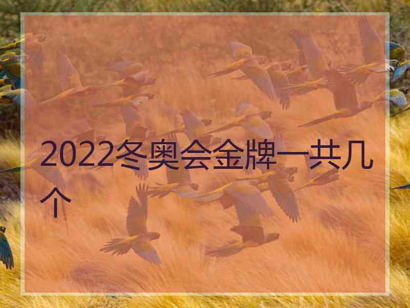 2022冬奥会金牌一共几个