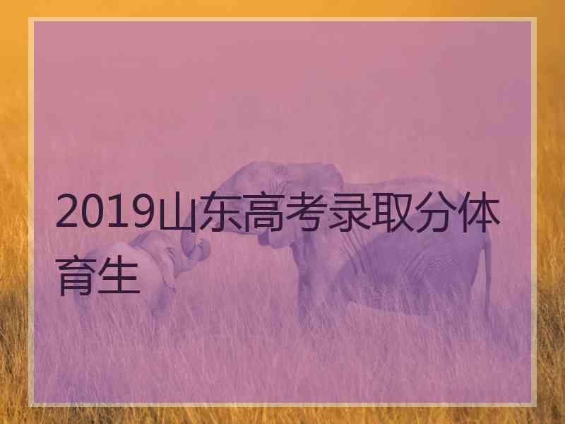 2019山东高考录取分体育生