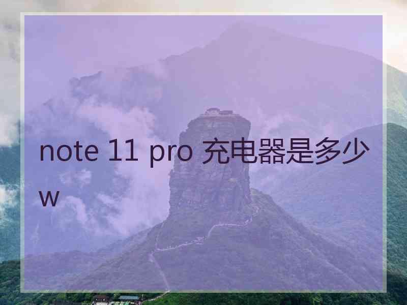 note 11 pro 充电器是多少w