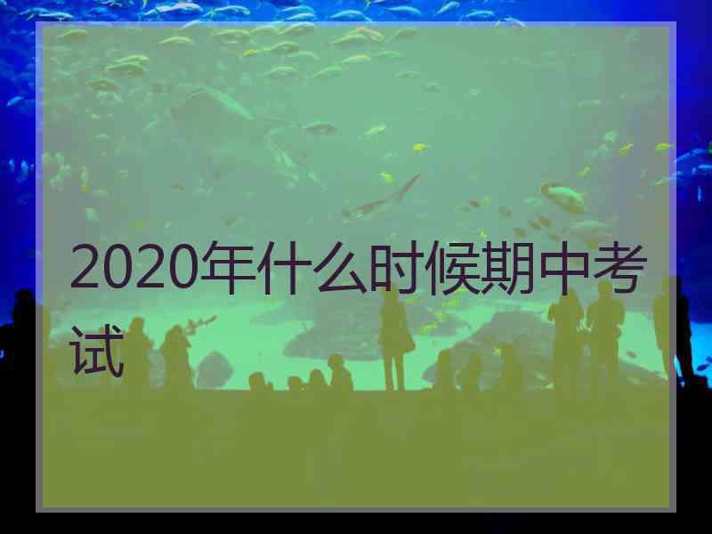 2020年什么时候期中考试