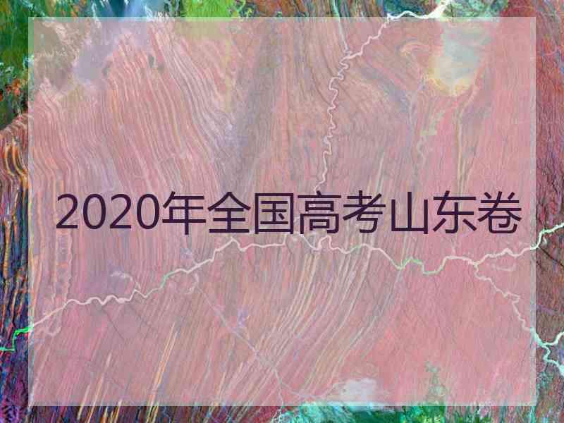 2020年全国高考山东卷