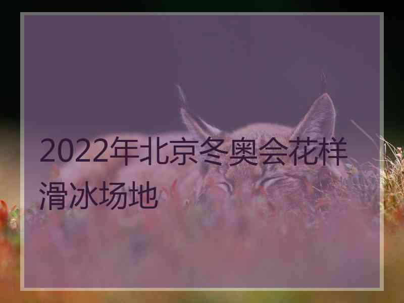 2022年北京冬奥会花样滑冰场地