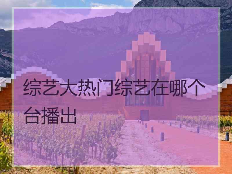 综艺大热门综艺在哪个台播出