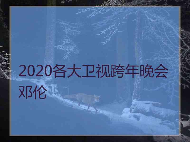 2020各大卫视跨年晚会邓伦