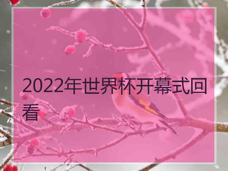 2022年世界杯开幕式回看