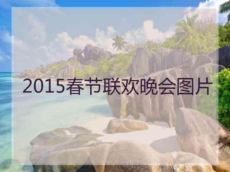 2015春节联欢晚会图片