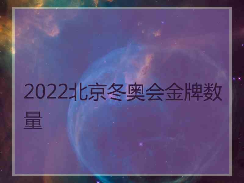 2022北京冬奥会金牌数量