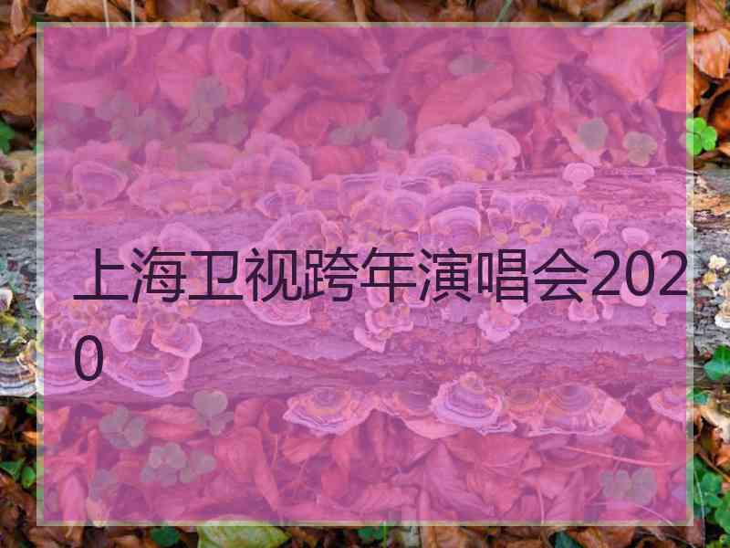 上海卫视跨年演唱会2020