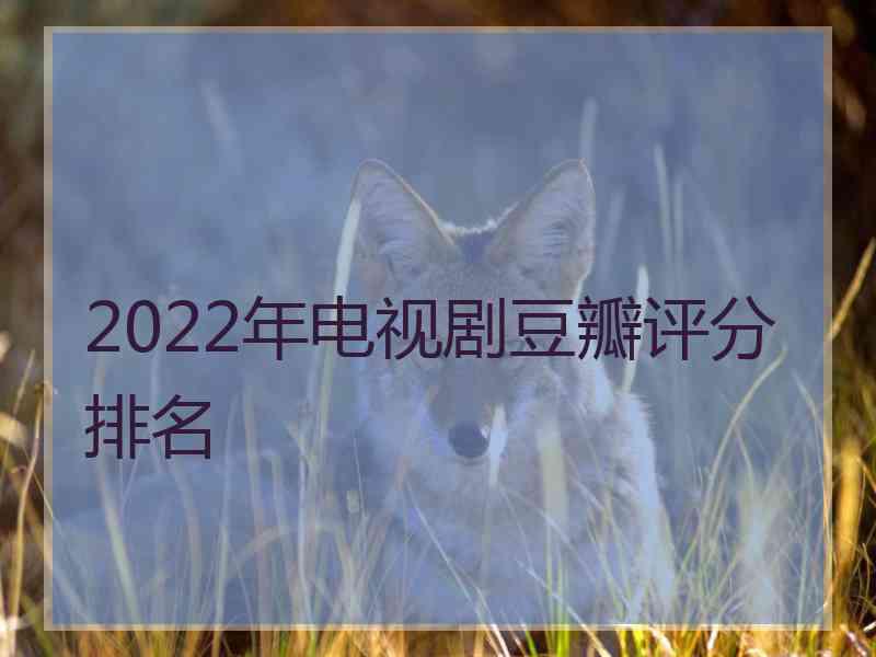 2022年电视剧豆瓣评分排名