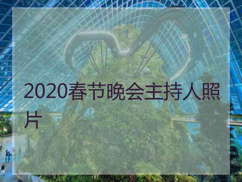 2020春节晚会主持人照片