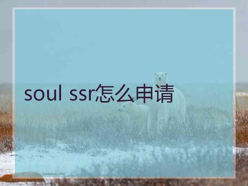 soul ssr怎么申请