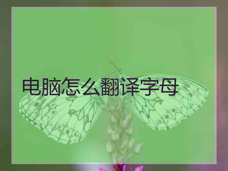 电脑怎么翻译字母