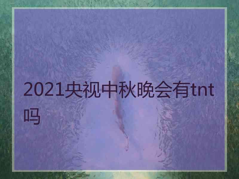 2021央视中秋晚会有tnt吗