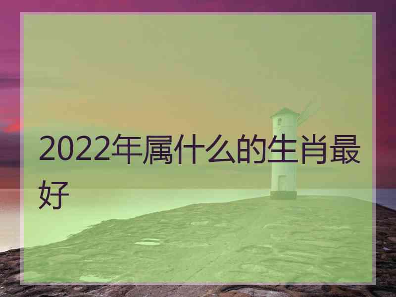 2022年属什么的生肖最好