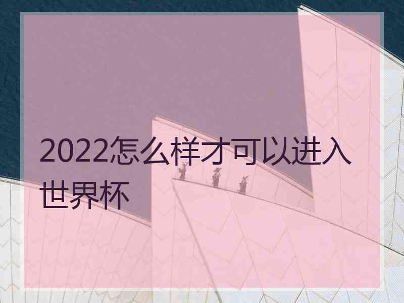 2022怎么样才可以进入世界杯