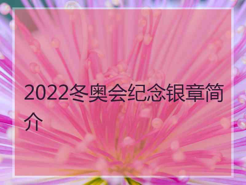 2022冬奥会纪念银章简介