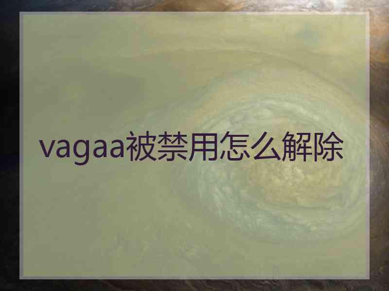 vagaa被禁用怎么解除