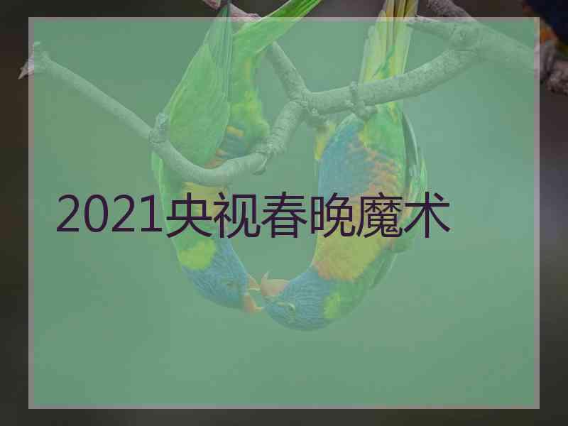 2021央视春晚魔术