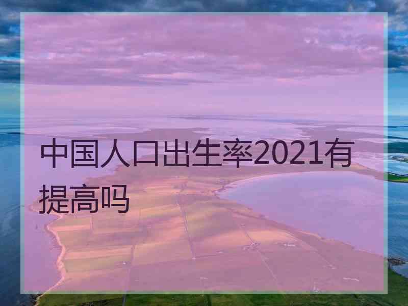 中国人口出生率2021有提高吗