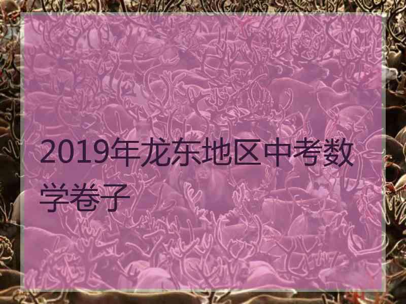 2019年龙东地区中考数学卷子