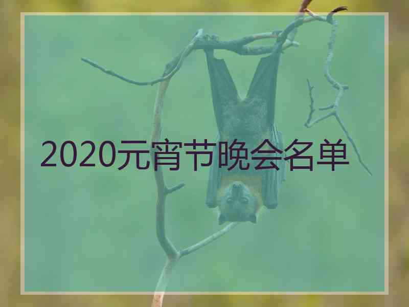 2020元宵节晚会名单