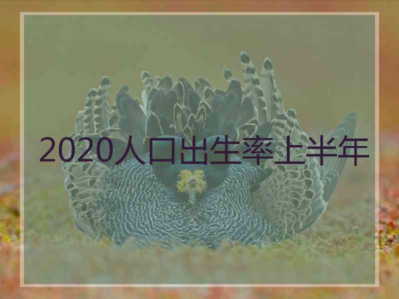 2020人口出生率上半年