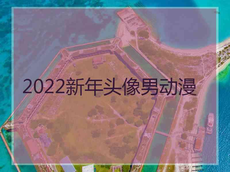 2022新年头像男动漫