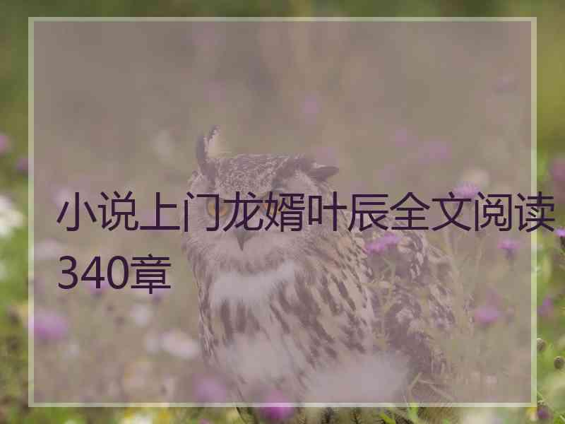 小说上门龙婿叶辰全文阅读340章