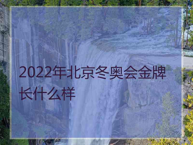 2022年北京冬奥会金牌长什么样