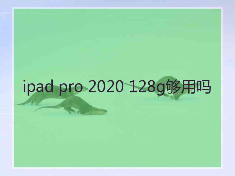 ipad pro 2020 128g够用吗