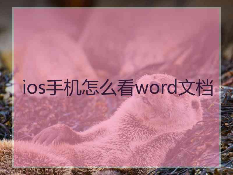 ios手机怎么看word文档