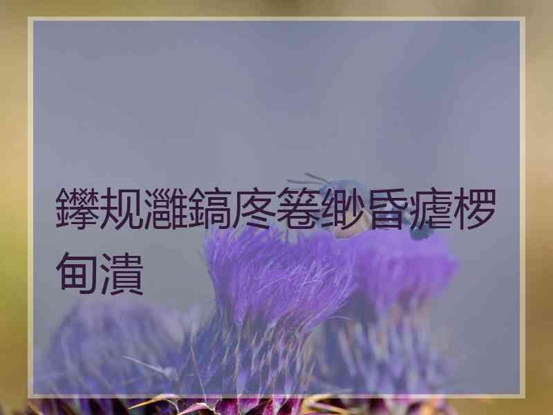 鑻规灉鎬庝箞缈昏瘧椤甸潰