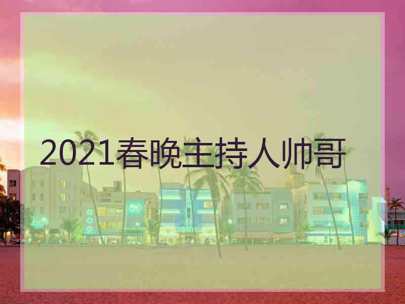 2021春晚主持人帅哥