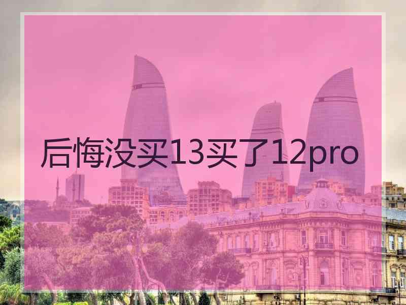 后悔没买13买了12pro