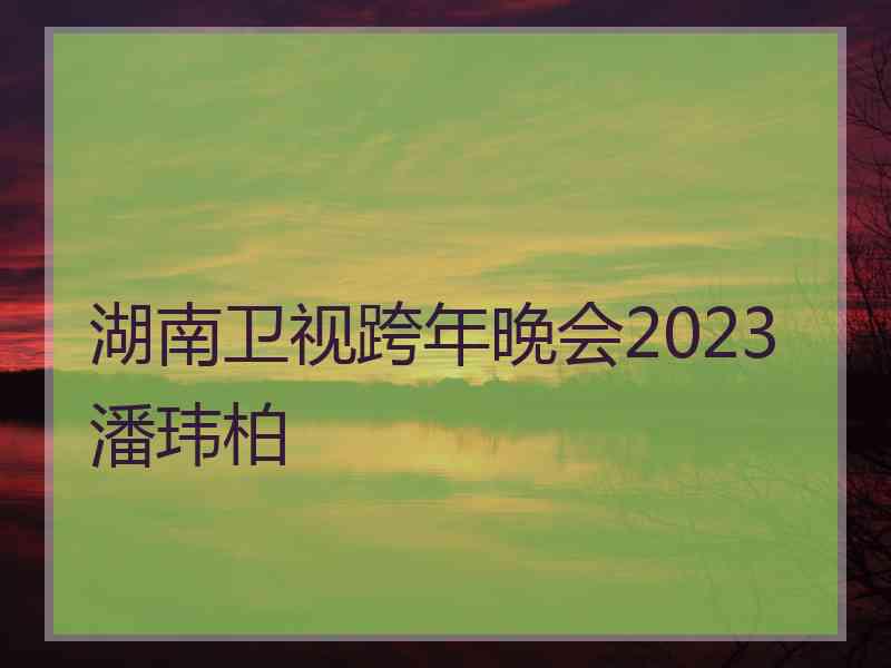 湖南卫视跨年晚会2023潘玮柏