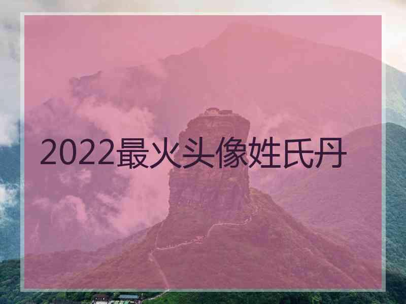 2022最火头像姓氏丹