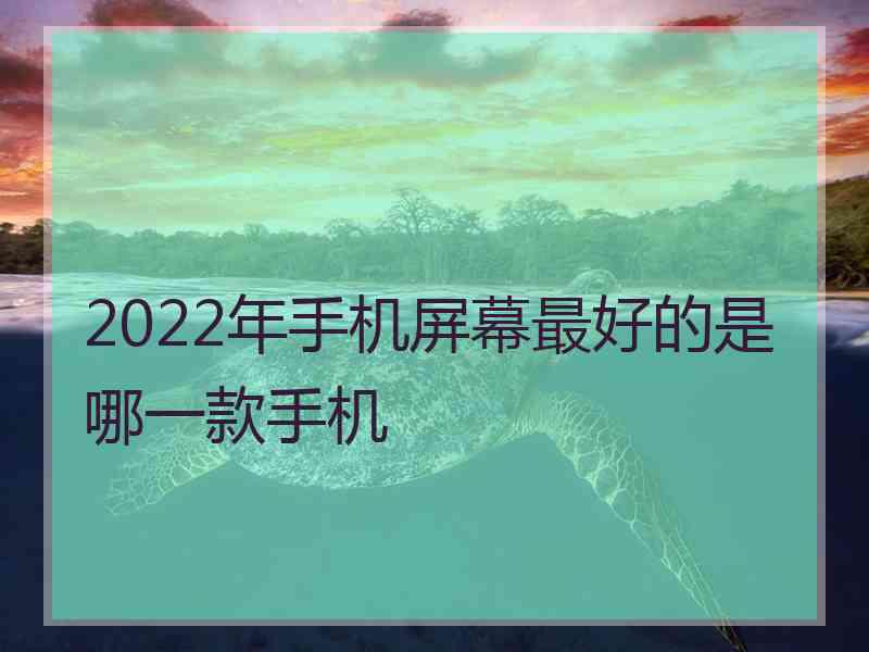 2022年手机屏幕最好的是哪一款手机