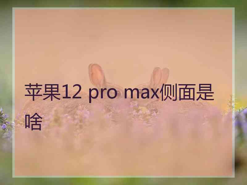 苹果12 pro max侧面是啥