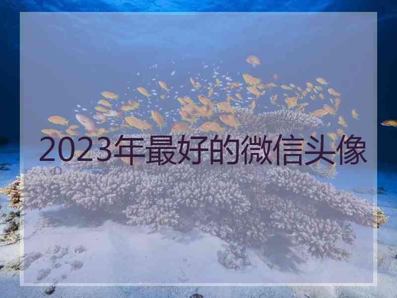 2023年最好的微信头像