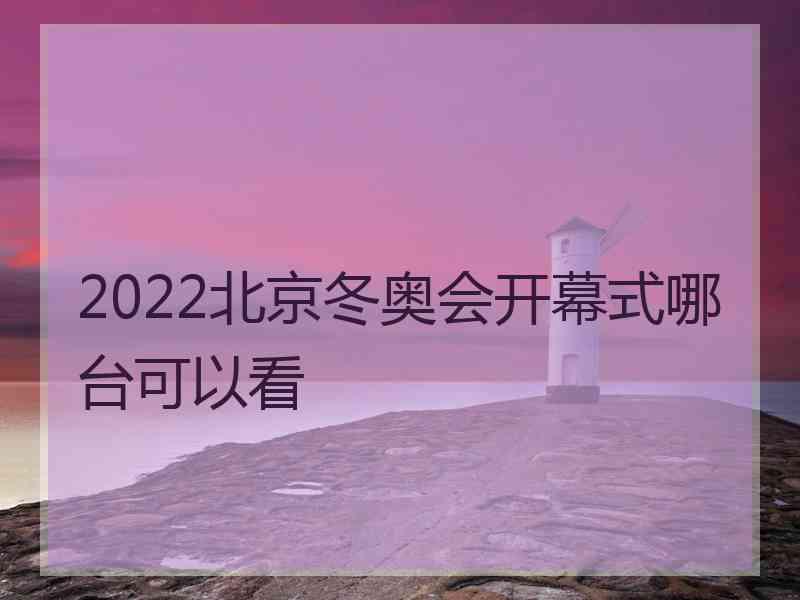 2022北京冬奥会开幕式哪台可以看