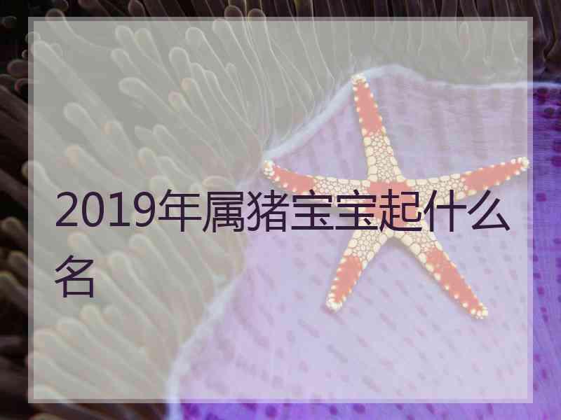 2019年属猪宝宝起什么名