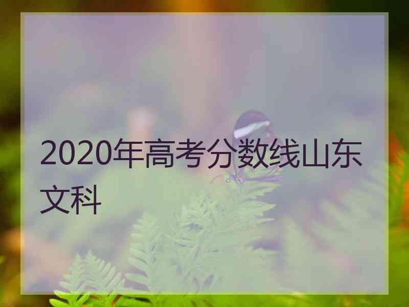 2020年高考分数线山东文科