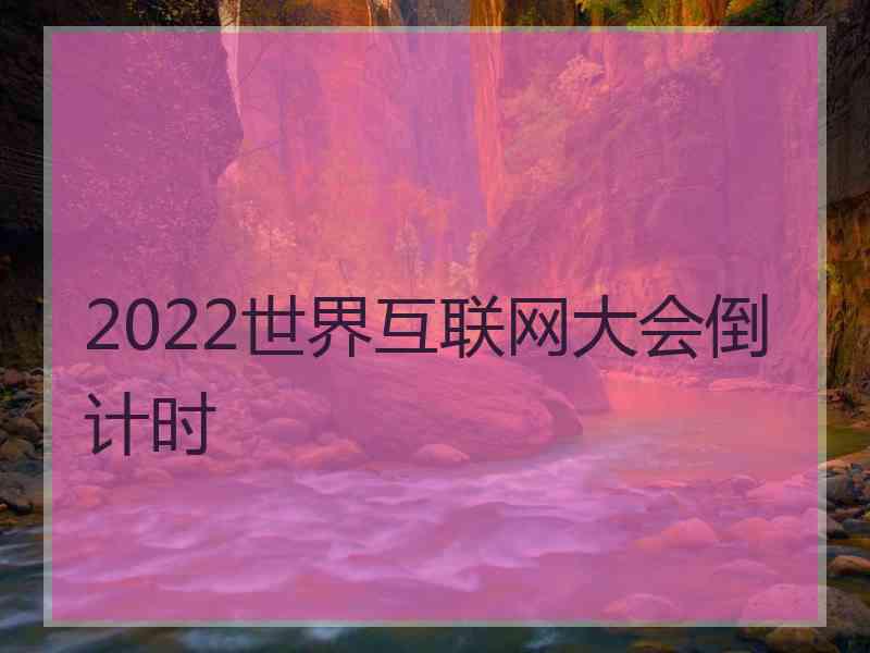 2022世界互联网大会倒计时