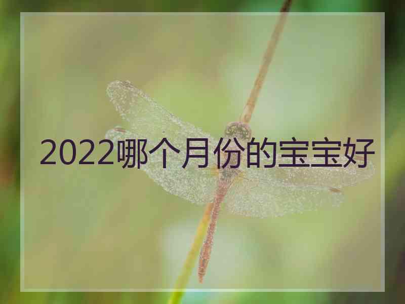 2022哪个月份的宝宝好