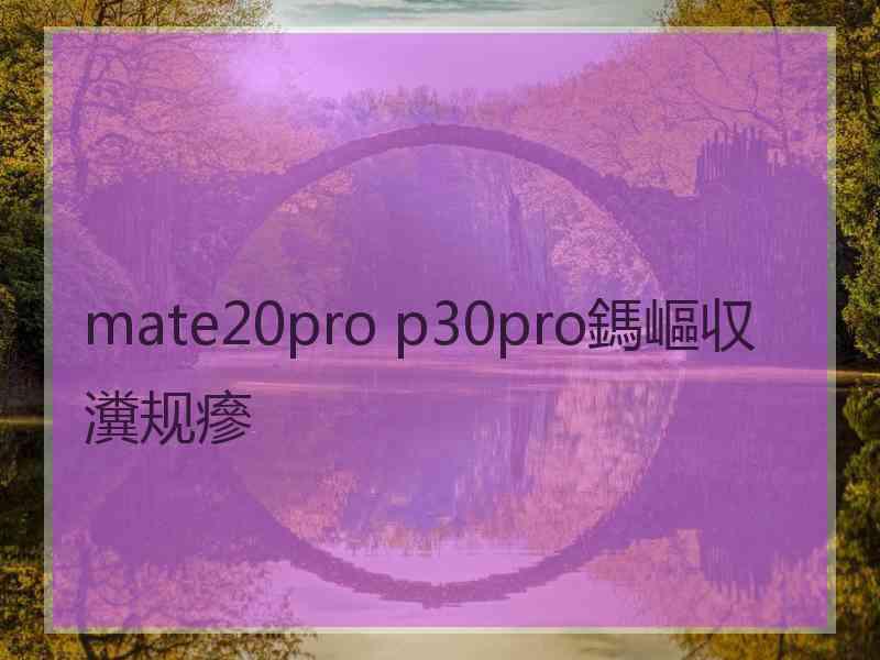 mate20pro p30pro鎷嶇収瀵规瘮