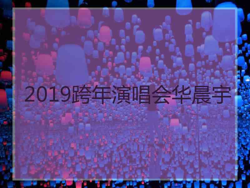 2019跨年演唱会华晨宇